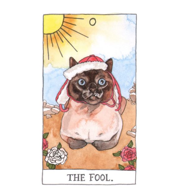 Cat Tarot: 78 Cards & Guidebook-hotRAGS.com
