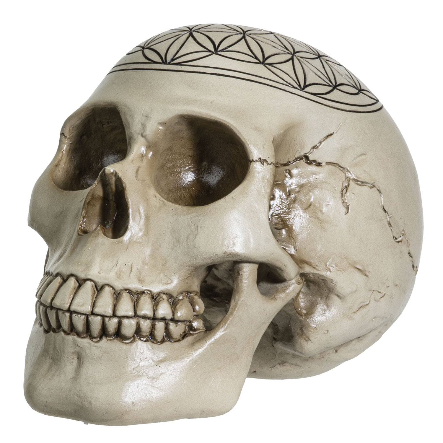 Sacred Geometry Skull-hotRAGS.com