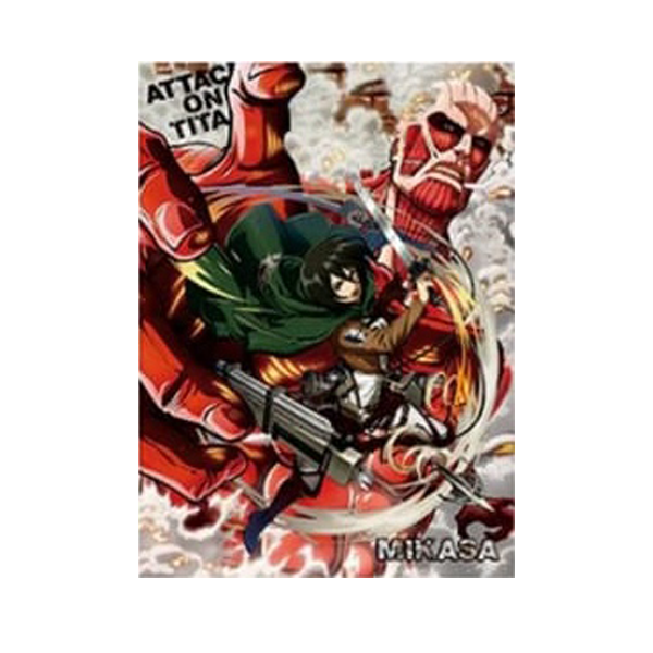 Pic 3D - Attack On Titan -15x11-hotRAGS.com