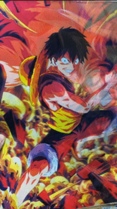 Pic 3D - One Piece -15x11-hotRAGS.com