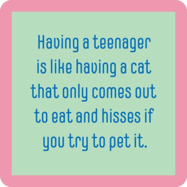 Coaster - Having A Teenager is Like Having A Cat-hotRAGS.com