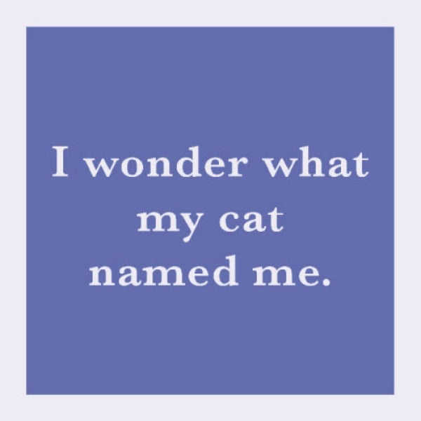 Coaster - I Wonder What My Cat Named Me-hotRAGS.com
