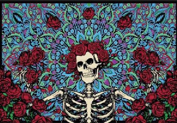 Pic 3d - Grateful Dead Bertha-hotRAGS.com