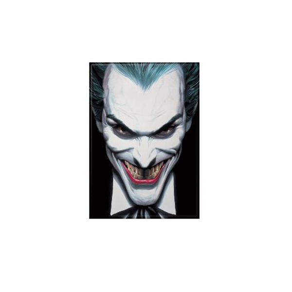 Magnet - Alex Ross Joker-hotRAGS.com