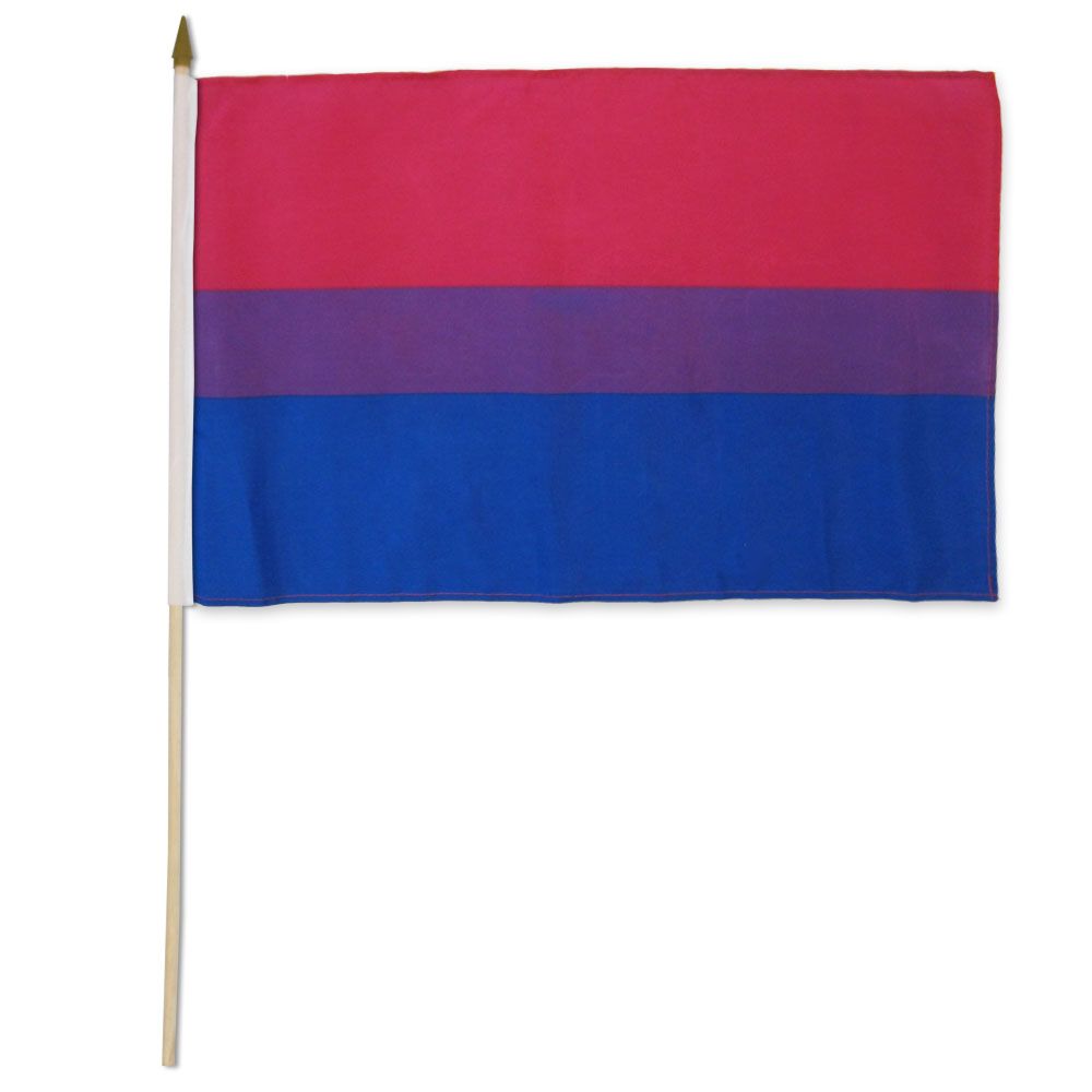 Bisexual 12x18in Stick Flag-hotRAGS.com
