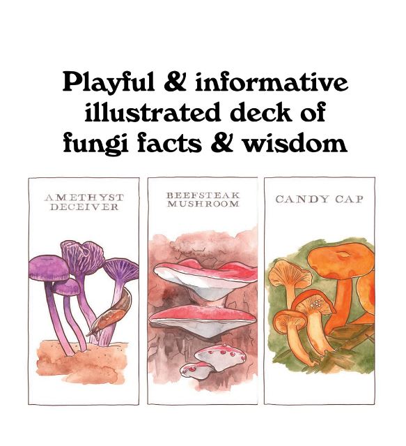 Tarot Cards - Mushroom Spotter's Deck: A Field Guide to Fungi & Their Age-Old Wisdom Cards-hotRAGS.com