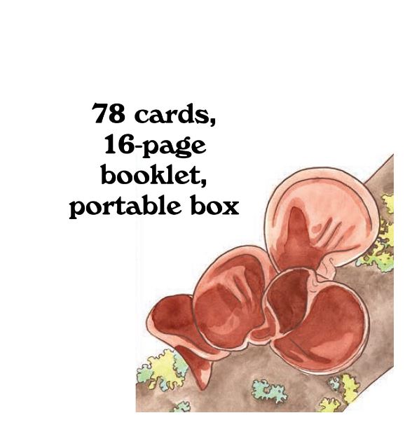 Tarot Cards - Mushroom Spotter's Deck: A Field Guide to Fungi & Their Age-Old Wisdom Cards-hotRAGS.com