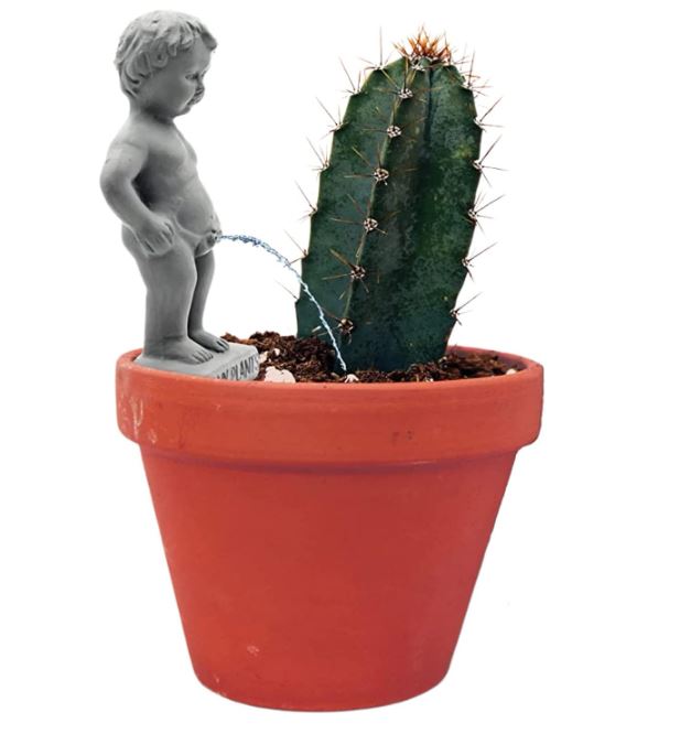 Decor - Plant Life Pee My Plants, Peeing Boy Self Watering Stake - Ceramic, Novelty Gift, House Plant Decor-hotRAGS.com