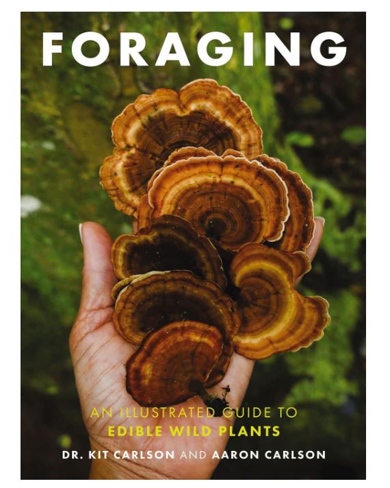Book - Foraging: An Illustrated Guide to Edible Wild Plants-hotRAGS.com