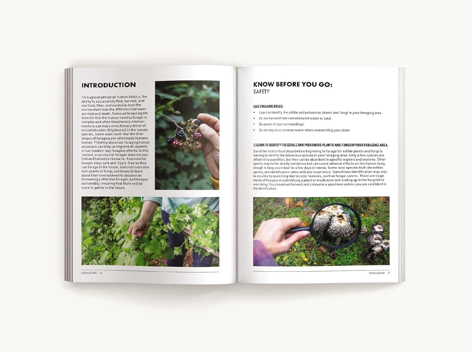 Book - Foraging: An Illustrated Guide to Edible Wild Plants-hotRAGS.com