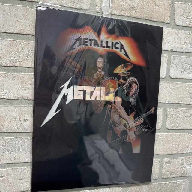 Pic 3D - Metallica Master-hotRAGS.com