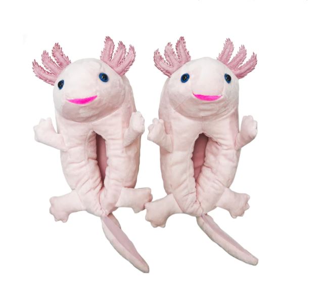 Slippers - Axolotl-hotRAGS.com