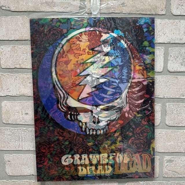 Pic 3D - Grateful Dead - Steal -15 x 11-hotRAGS.com