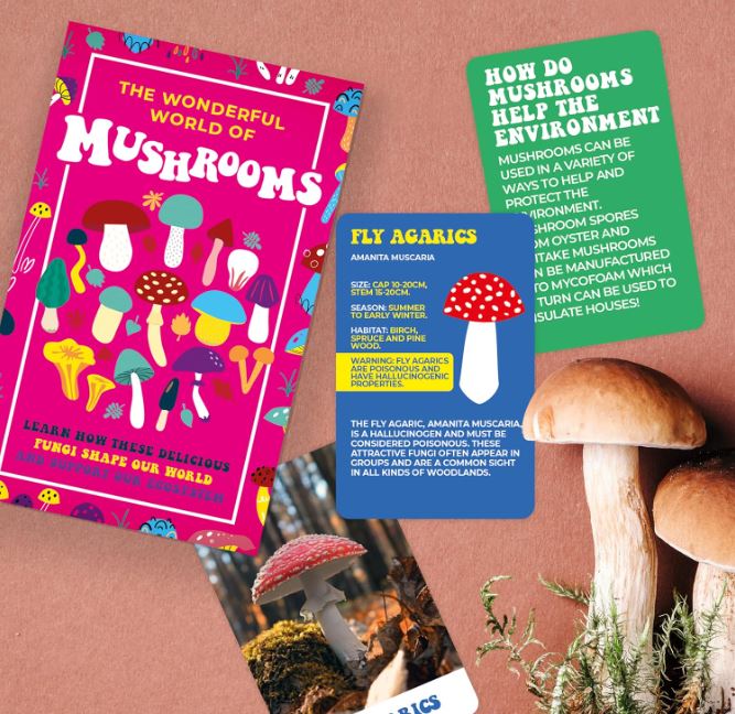 Cards - The Wonderful World Of Mushrooms-hotRAGS.com