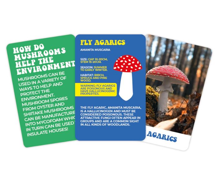 Cards - The Wonderful World Of Mushrooms-hotRAGS.com