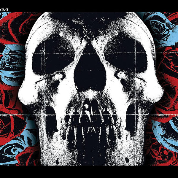 Poster Deftones Skull Poster Deftones Skull
