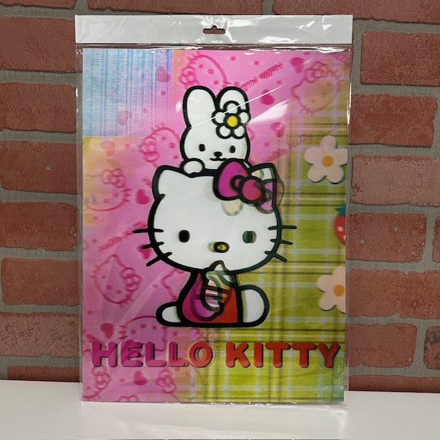 PIC 3D - HELLO KITTY 2 - 15 x 11-hotRAGS.com