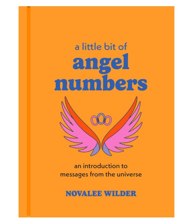 BOOK - LITTLE BIT OF ANGEL Numbers -Hardcover-hotRAGS.com