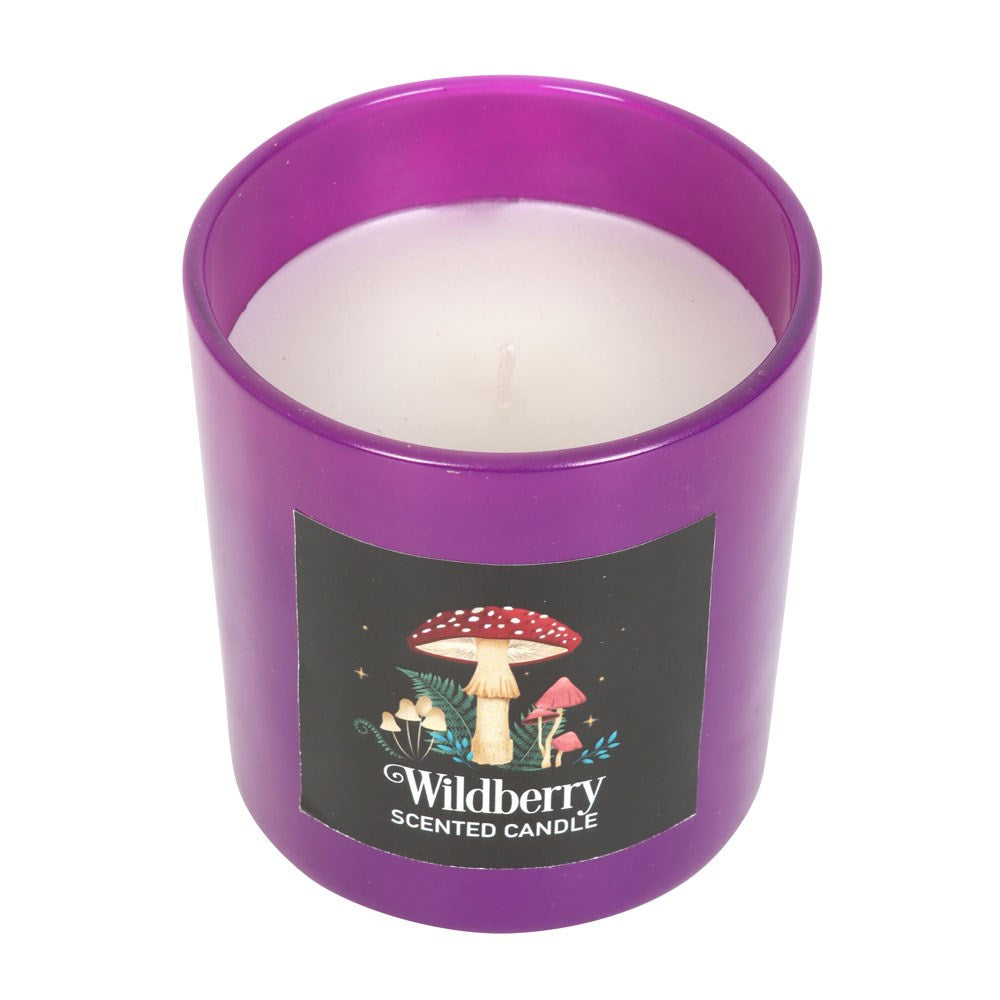 Candle - Dark Forest Mushroom - Wildberry-hotRAGS.com