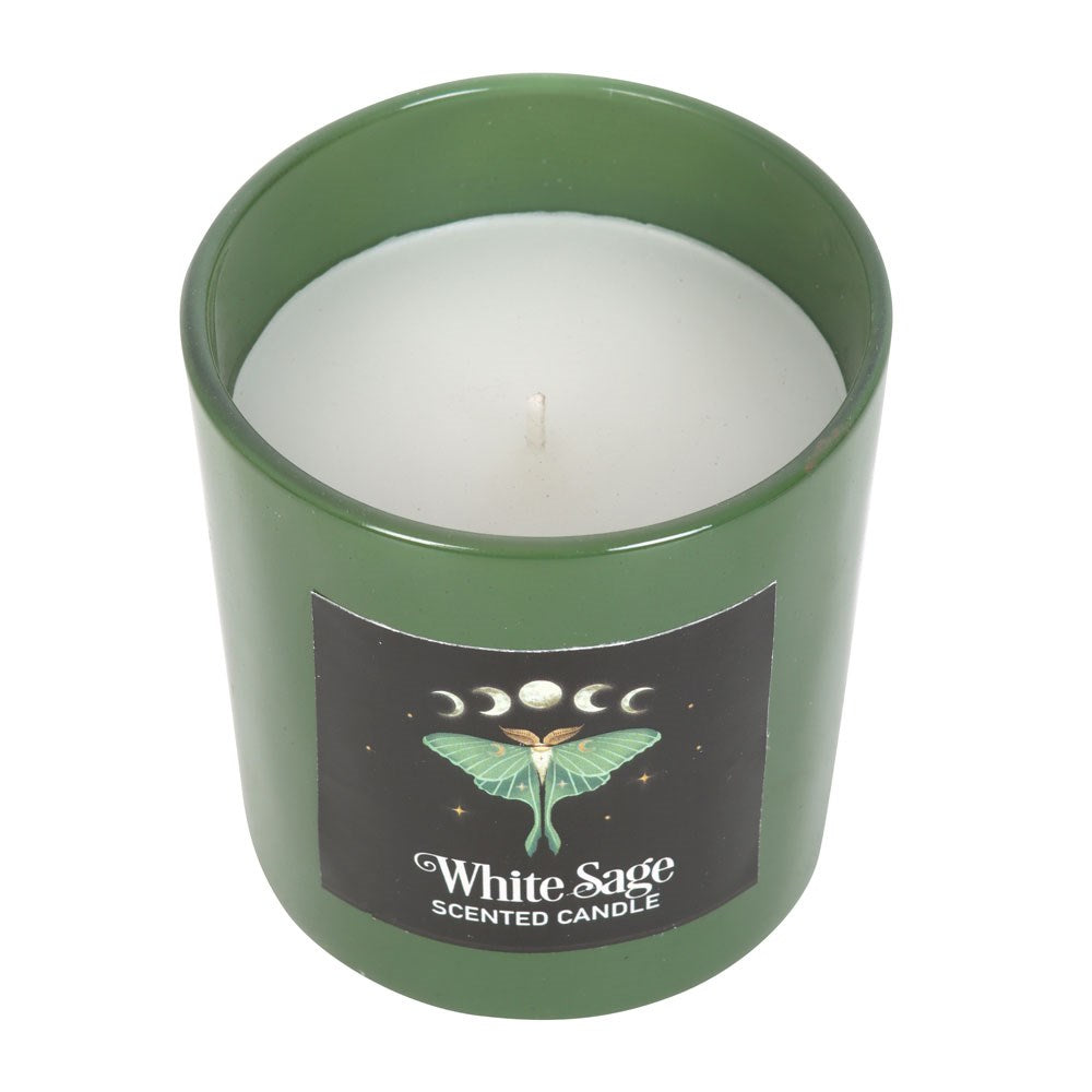 Candle - Dark Forest Luna Moth - White Sage-hotRAGS.com