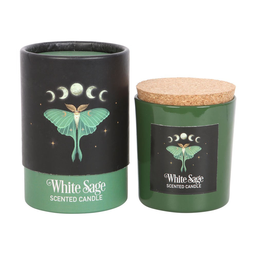 Candle - Dark Forest Luna Moth - White Sage-hotRAGS.com