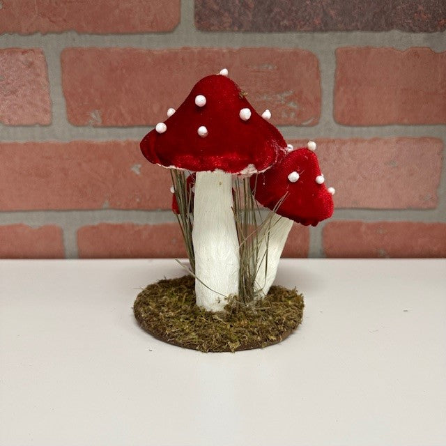 Decor - Mushrooms - 6 Inch-hotRAGS.com