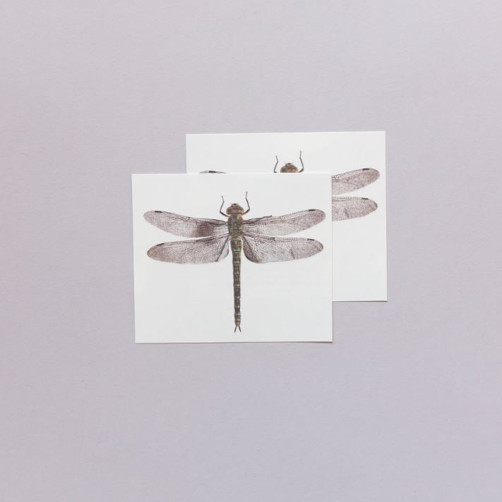 Tattoo - Dragonfly Pair-hotRAGS.com