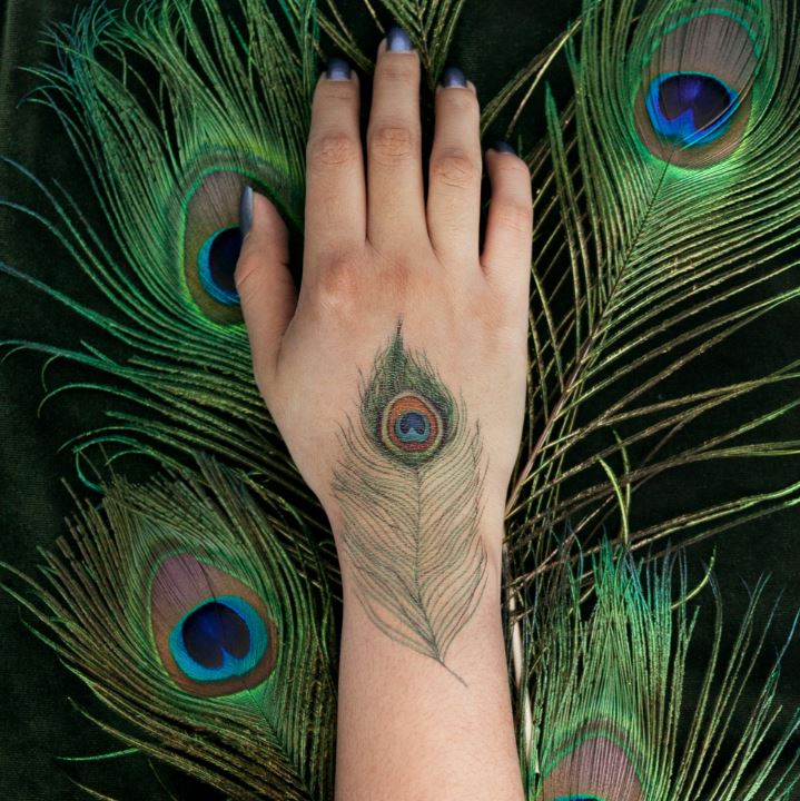 Tattoo - Peacock Feather Pair-hotRAGS.com