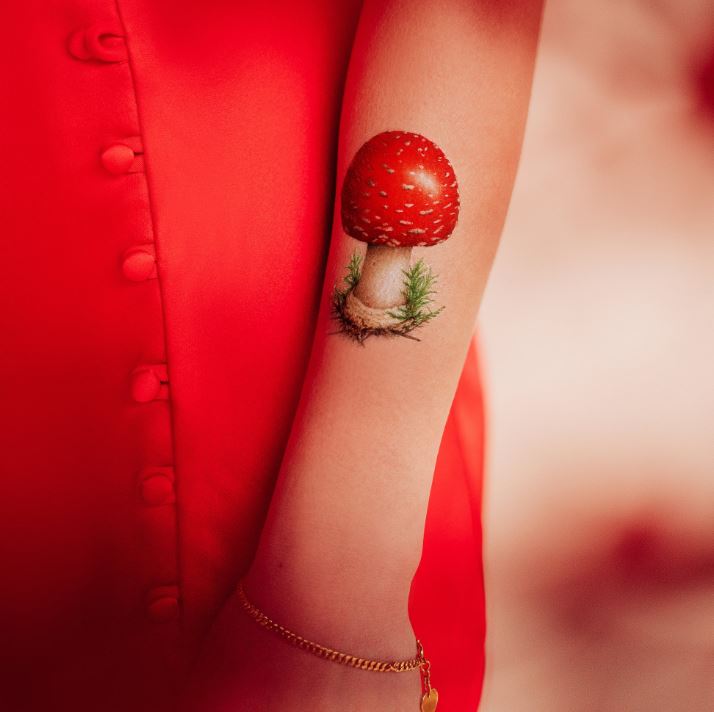 Tattoo -Toadstool Pair-hotRAGS.com