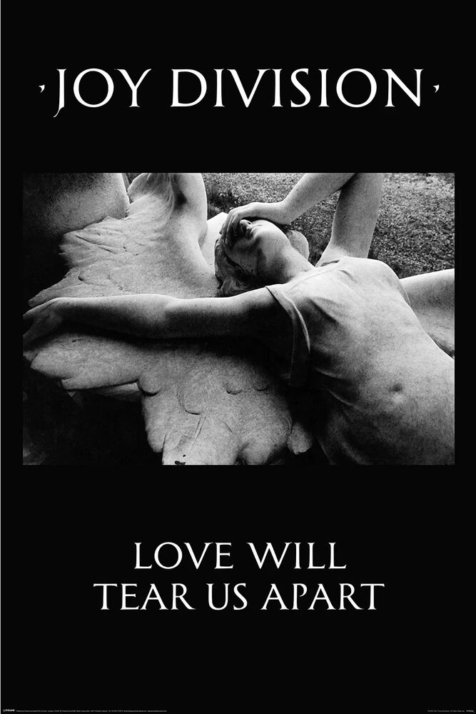 Poster - Joy Division Love Will Tear Us Apart - 24x36-hotRAGS.com
