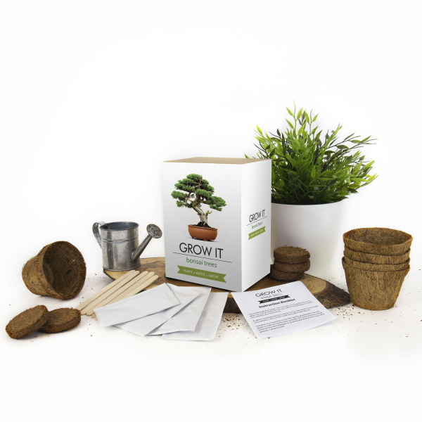 grow a bonsai tree kit Grow It Bonsai Tree