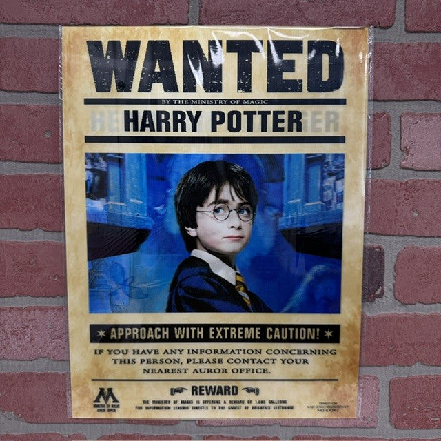 Picture - 3D Harry Potter