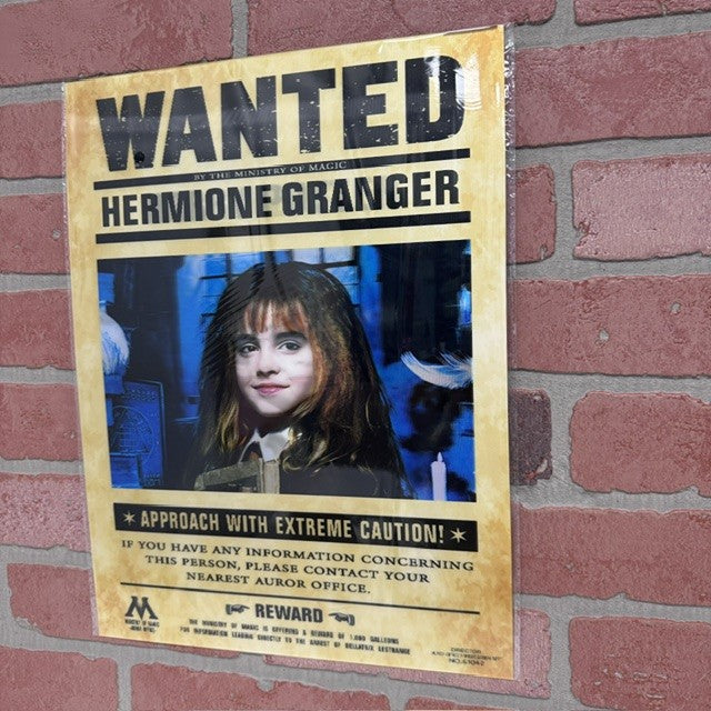 Picture - 3D Harry Potter