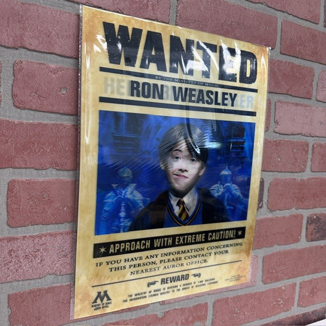 Picture - 3D Harry Potter