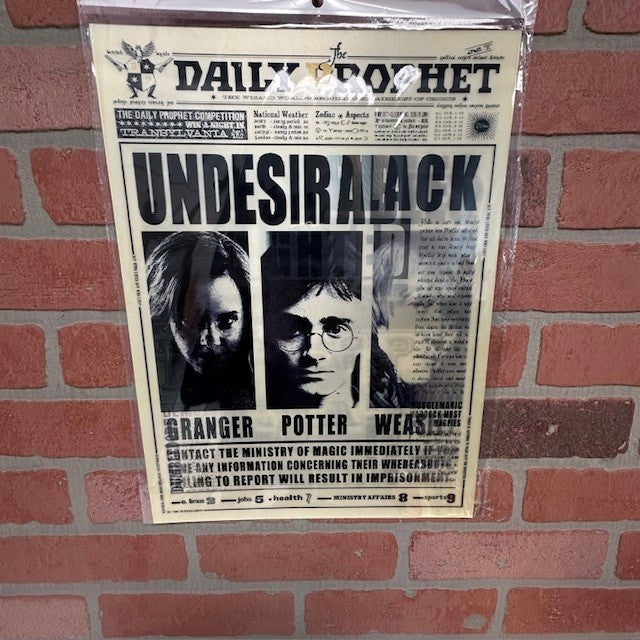 Picture - 3D HARRY POTTER Trio-hotRAGS.com