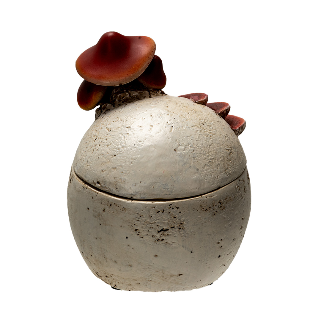 BOX - MUSHROOM SKULL