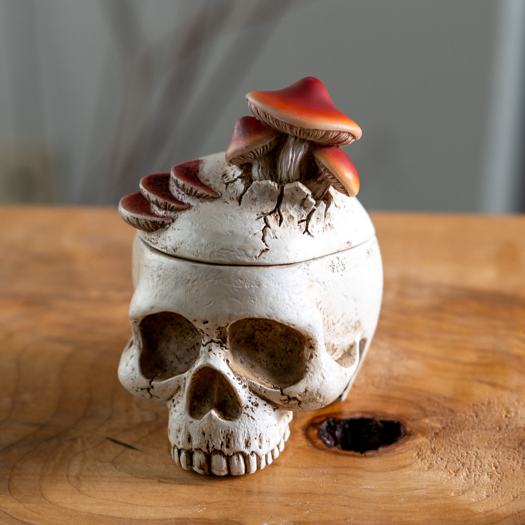 BOX - MUSHROOM SKULL