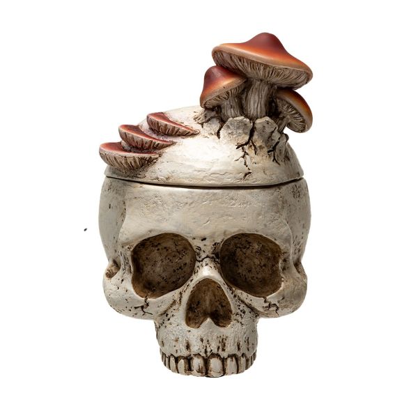 BOX - MUSHROOM SKULL