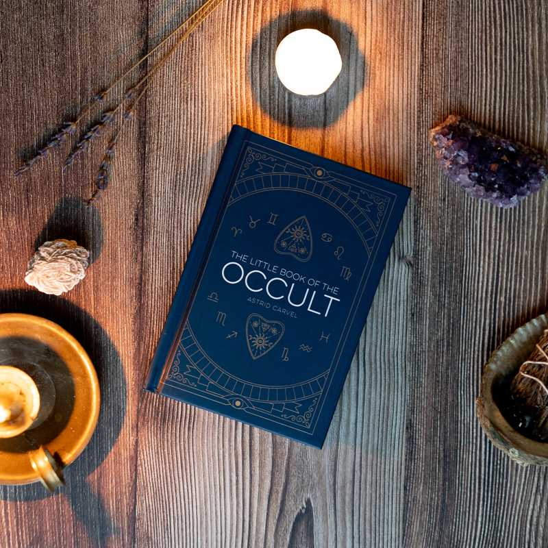 Book - Little Book Of The Occult