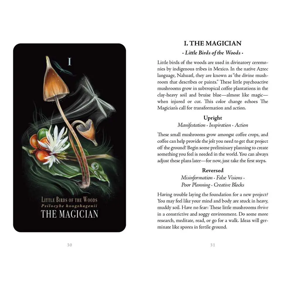 Tarot Cards - Midnight Magic - hotRAGS.com