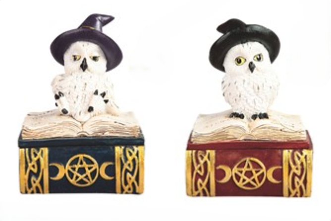 Trinket Box - White Owl - hotRAGS.com