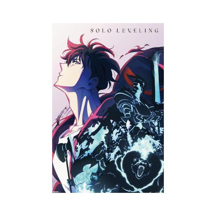 Poster - Solo Leveling - hotRAGS.com