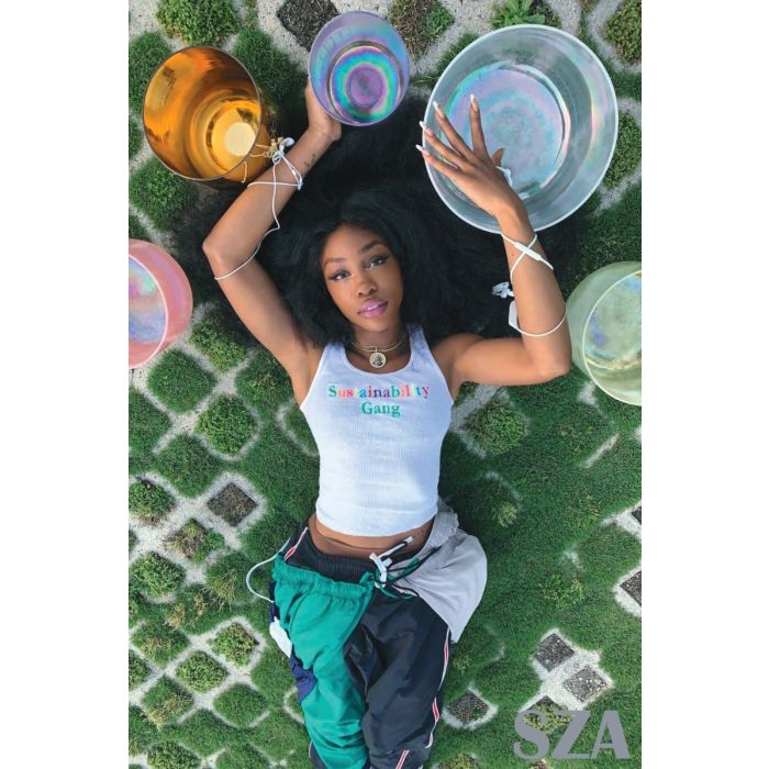 Poster -  Sza Sustainable - hotRAGS.com