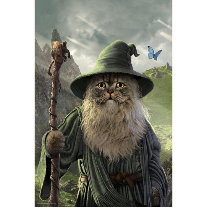 Poster - Catdalf - hotRAGS.com