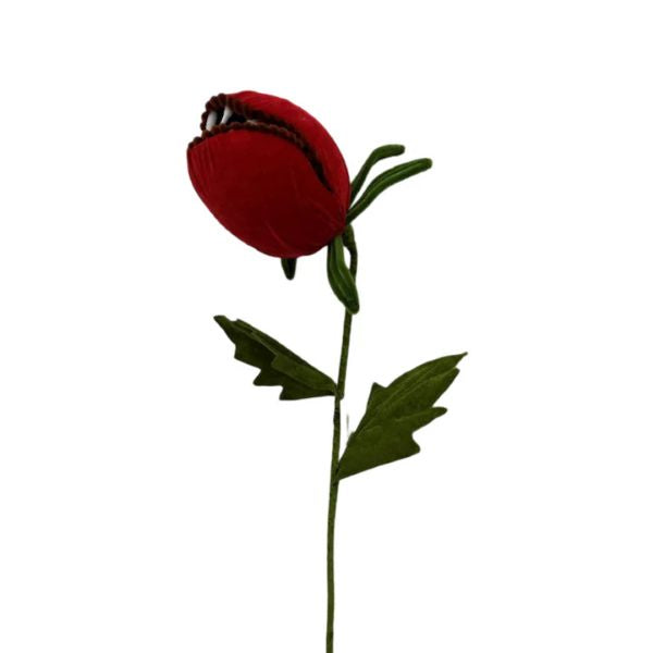 Decor - Venus Flytrap - Red Closed - hotRAGS.com