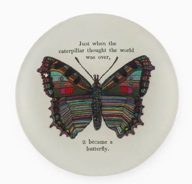 Home Decor - Butterfly Decoupage - hotRAGS.com