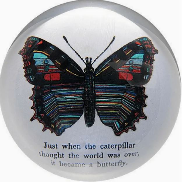 Paperweight - Butterfly - hotRAGS.com