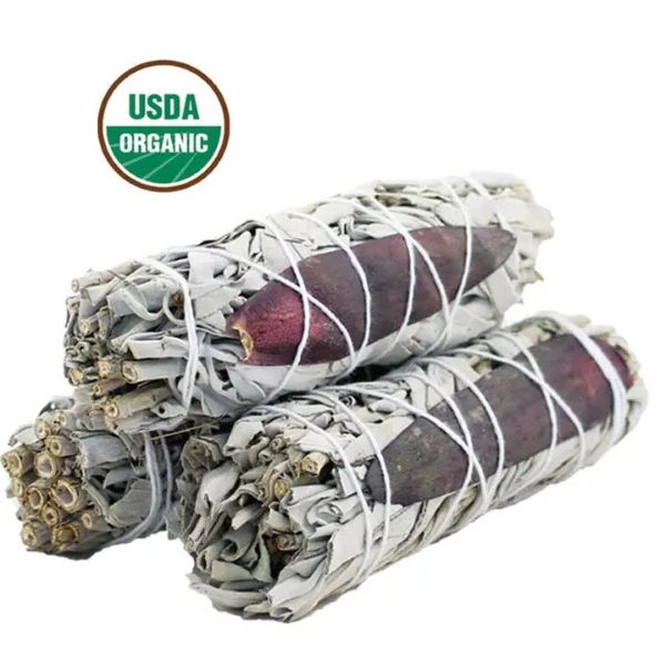Sage - Dream Floral White - hotRAGS.com