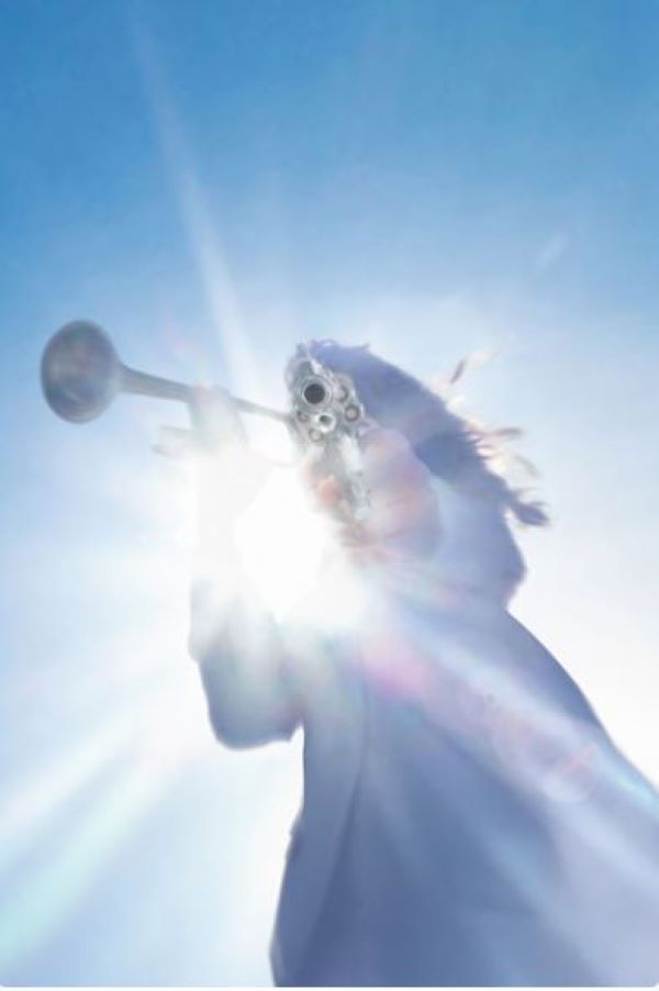 Poster - Geese Getting Killed - hotRAGS.com