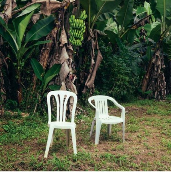 Poster - Bad Bunny - 12 X 12 - hotRAGS.com